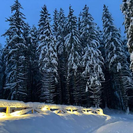 Algara Hut Hotel Panichishte Bagian luar foto