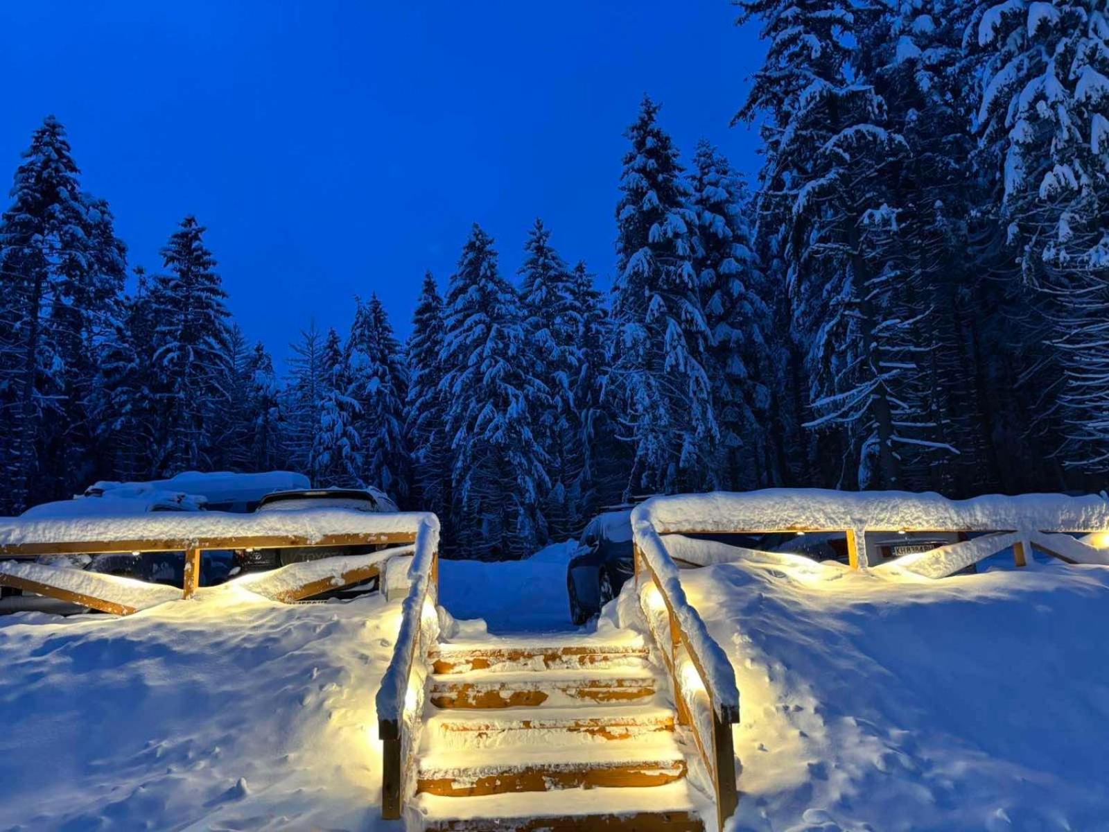 Algara Hut Hotel Panichishte Bagian luar foto
